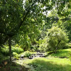 Papeari Bay - Papeari