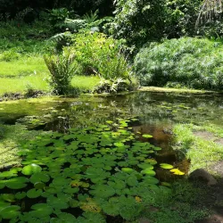 Papeari Bay - Papeari