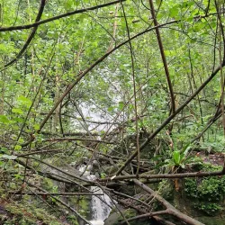 Papeari Waterfalls - Papeari