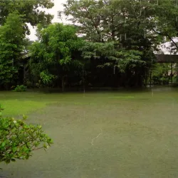 Paul Gauguin Museum - Papeari