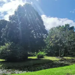 Paul Gauguin Museum - Papeari