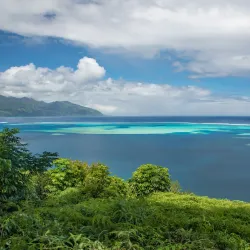 Tahiti Botanical Gardens - Papeari