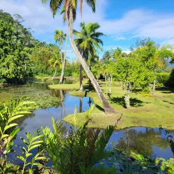 Tahiti Botanical Gardens - Papeari