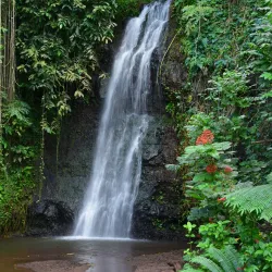 Vaipahi Gardens - Papeari