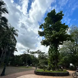 Bougainville Park - Papeete