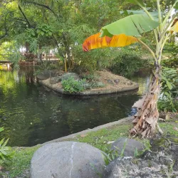 Bougainville Park - Papeete
