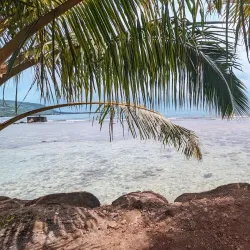 La Plage de Maui - Papeete