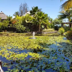 Paofai Gardens (Jardin de Paofai) - Papeete