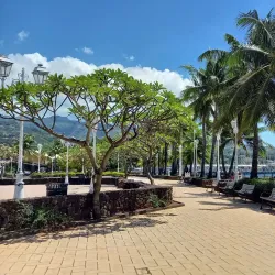 Paofai Gardens (Jardin de Paofai) - Papeete