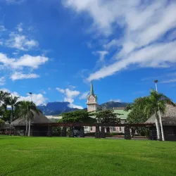 Paofai Gardens (Jardin de Paofai) - Papeete