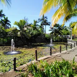 Paofai Gardens (Jardin de Paofai) - Papeete
