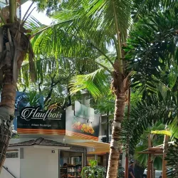 Papeete Waterfront Promenade - Papeete