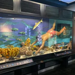 Robert Wan Pearl Museum - Papeete