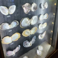 Robert Wan Pearl Museum - Papeete