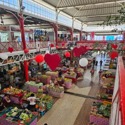 Vaima Shopping Center - Papeete