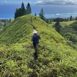 Punaauia Coastal Trail - Punaauia