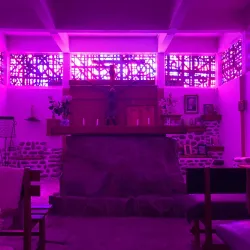 Marine Life Exploration - Port-aux-francais