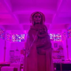 Marine Life Exploration - Port-aux-francais