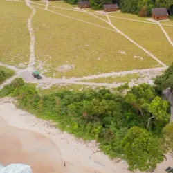 Local Wildlife Observation - Mbigou