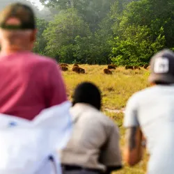 Local Wildlife Observation - Mbigou