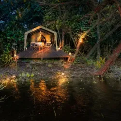 Local Wildlife Observation - Mbigou