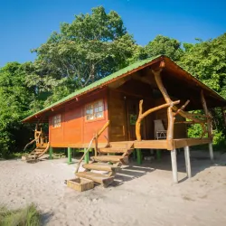 Local Wildlife Observation - Mbigou