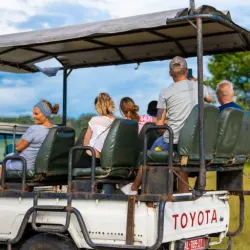 Local Wildlife Observation - Mbigou