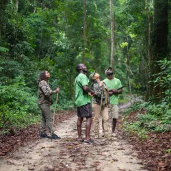 Local Wildlife Observation - Mbigou