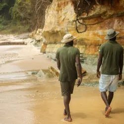 Local Wildlife Observation - Mbigou