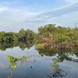 Nearby Rainforest Trails - Mbigou