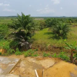 Nearby Rainforest Trails - Mbigou