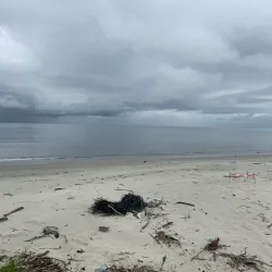 Nearby Rainforest Trails - Mbigou