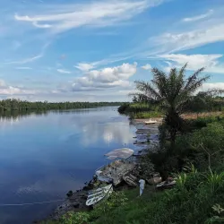 Nearby Rainforest Trails - Mbigou