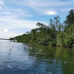 Nearby Rainforest Trails - Mbigou