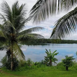 Nearby Rainforest Trails - Mbigou