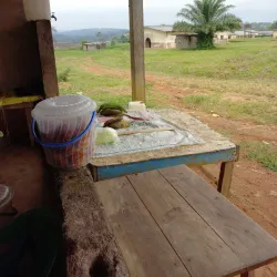 Ngounié River - Mbigou