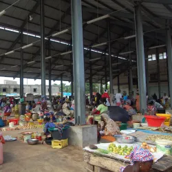 Gambia River - Bakoteh