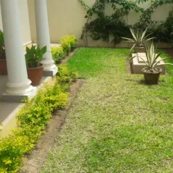 Gambia River - Bakoteh