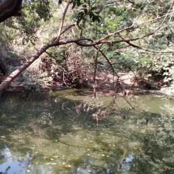 Kachikally Crocodile Pool - Bakoteh