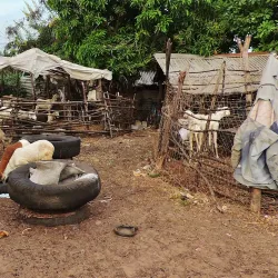 Brikama Craft Market - Brikama