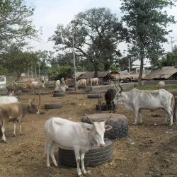 Brikama Museum - Brikama