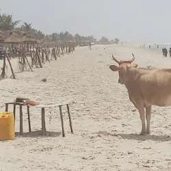 Sanyang Beach - Brikama