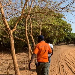 Local Village Tours - Busumbala