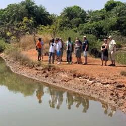 Local Village Tours - Busumbala