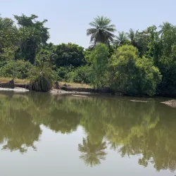 Local Village Tours - Busumbala