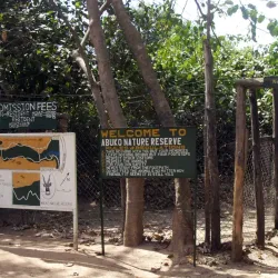 Nature Walks and Bird Watching - Busumbala