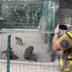 Nature Walks and Bird Watching - Busumbala