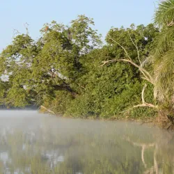 Nearby River Gambia - Busumbala