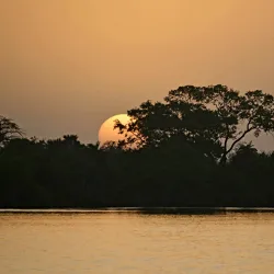 Nearby River Gambia - Busumbala