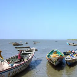 Nearby River Gambia - Busumbala